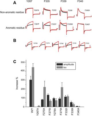 Two small-molecule activators share similar effector sites in the KCNQ1 channel pore but have distinct effects on voltage sensor movements